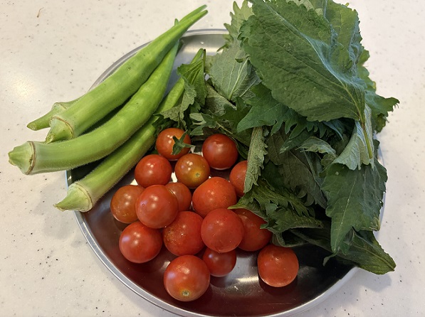 自宅で収穫した野菜
