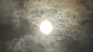 中秋の名月（2026年9月25日名古屋市名東区）