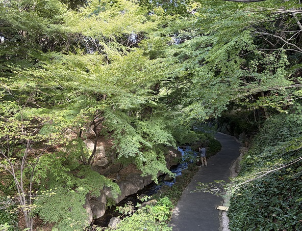 徳川園（名古屋市）2026年9月22日