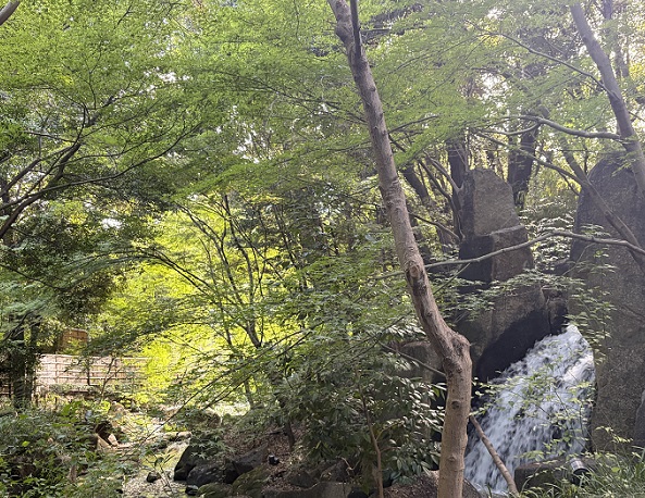 徳川園（名古屋市）2026年9月22日