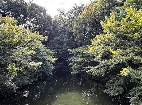 徳川園（名古屋市）2026年9月22日