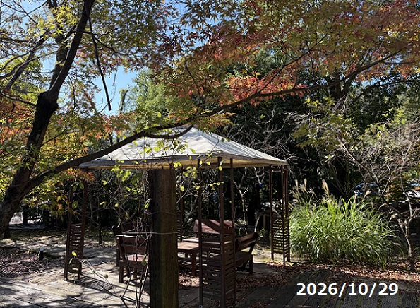 灯屋(岐阜県多治見市)のハロウイン2026年10月29日