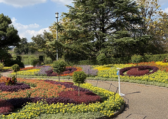 安城産業文化公園デンパーク(愛知県安城市)2026年10月9日