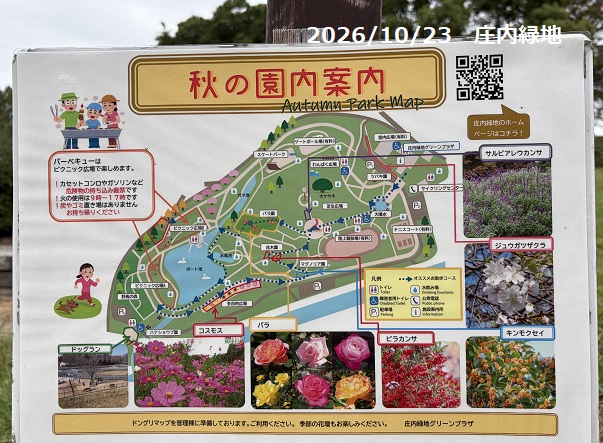 庄内緑地（2026年10月23日）