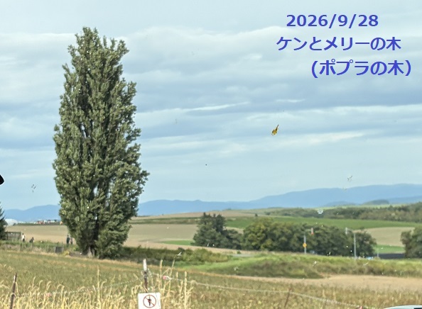 北海道美瑛町パッチワークの路(2026年9月28日)