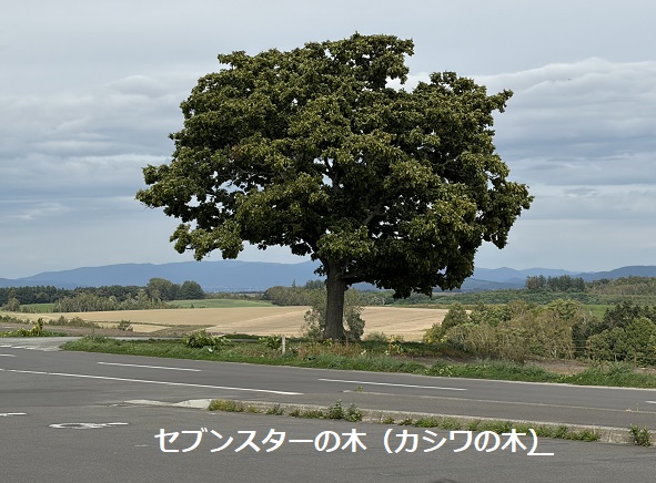 北海道美瑛町パッチワークの路(2026年9月28日)