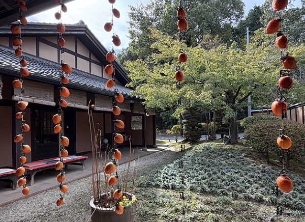 日本茶専門店はおととi(岐阜県多治見市虎渓山町）