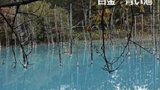 2026年9月28日白金青い池（美瑛町）