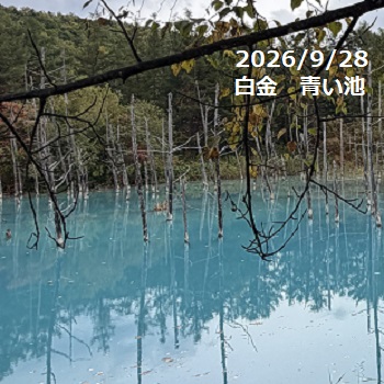 2026年9月28日白金青い池（美瑛町）